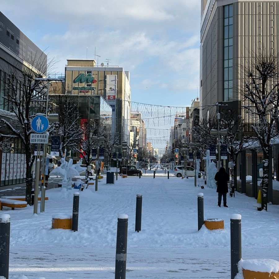 Downtown Asahikawa city covered in snow during winter
