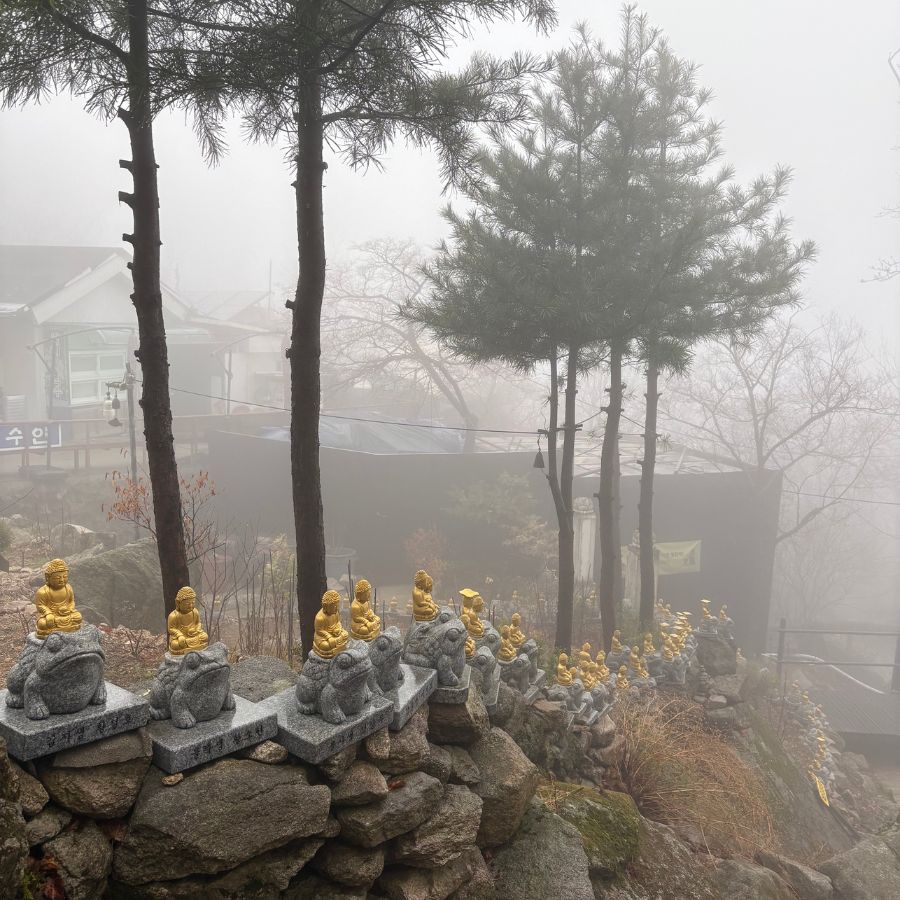 scenic hiking trail despite rainy conditions