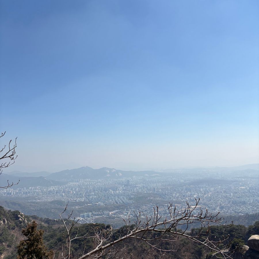 nature and city landscape together in Seoul