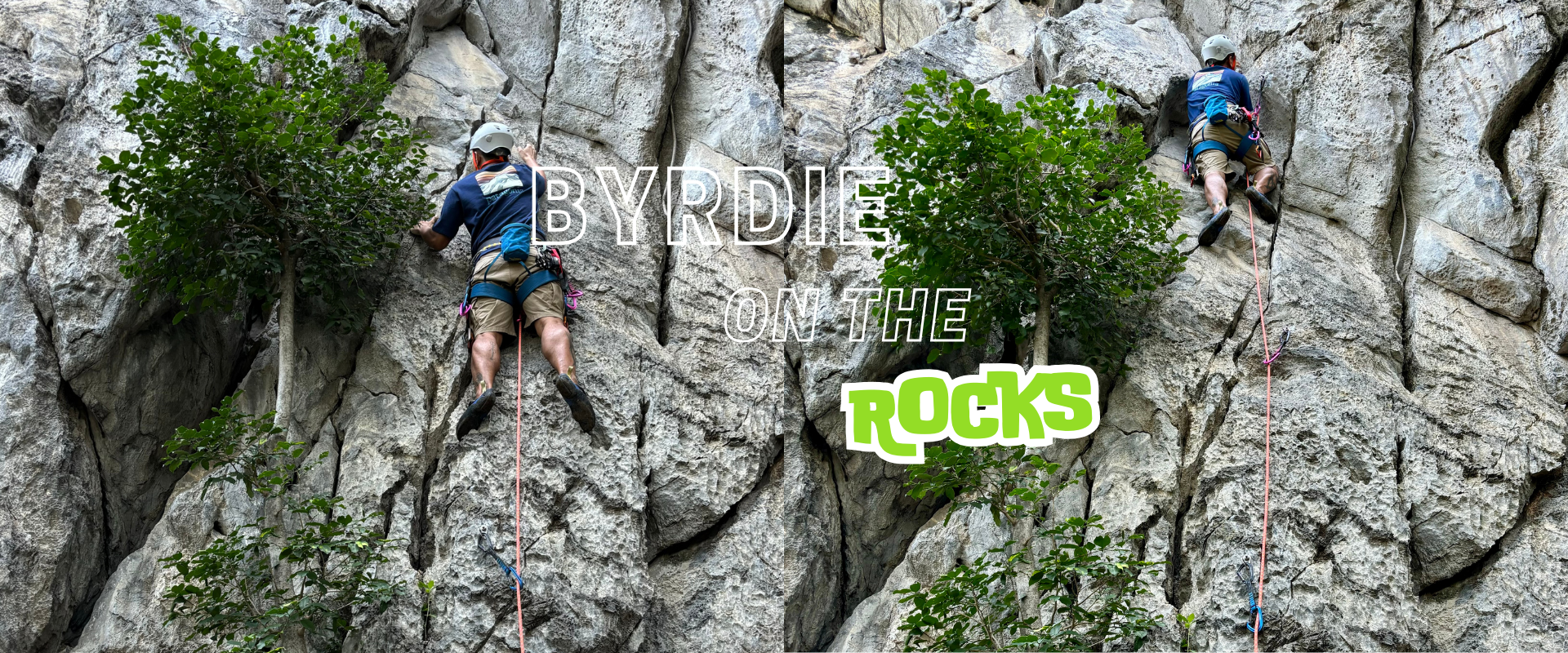 Pic of Byrdie on the rock