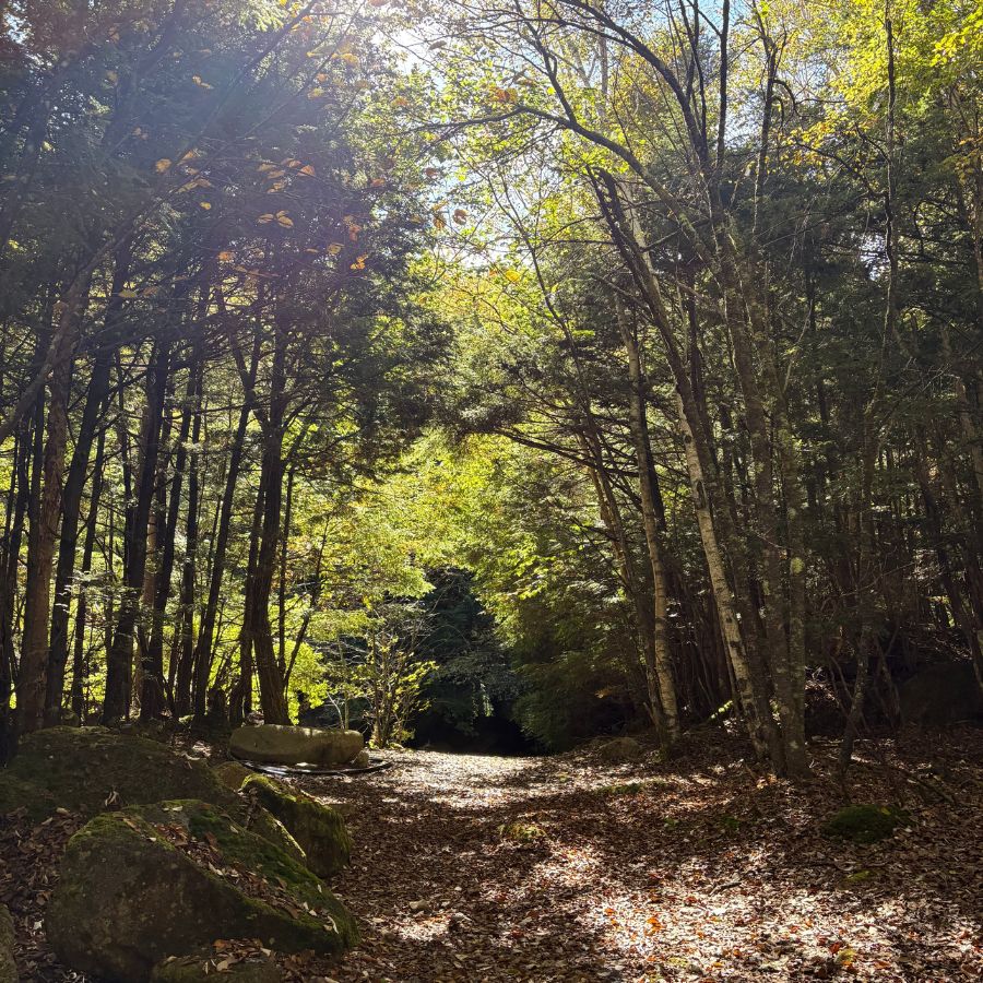 Autumn road to Ogawayama