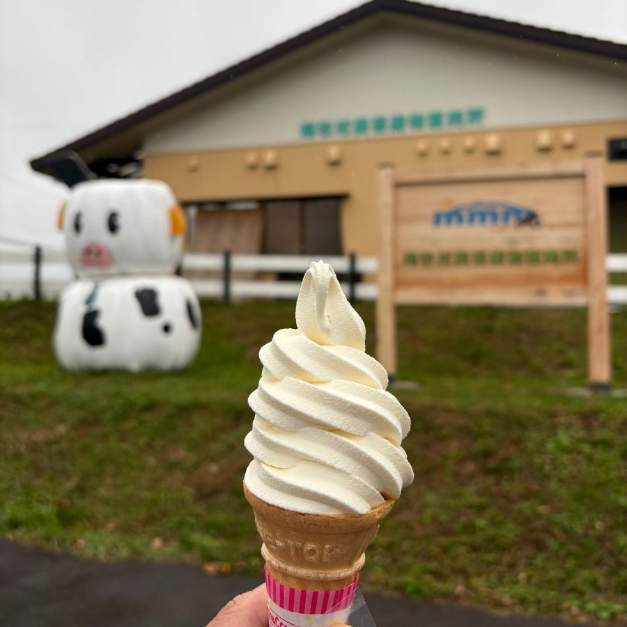 Thick creamy ice cream