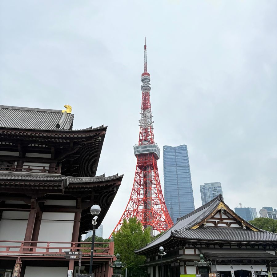 Tokyo Tower landmark at sunset