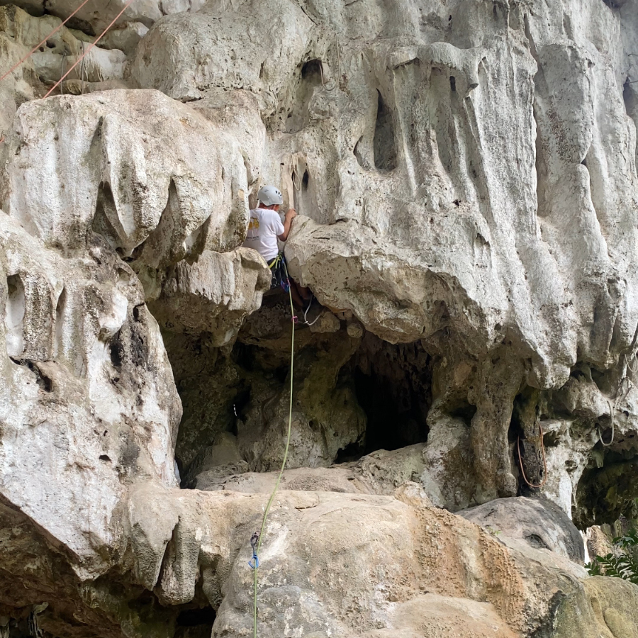 Byrdie clibing Carrir on,the North Wall, Krabi