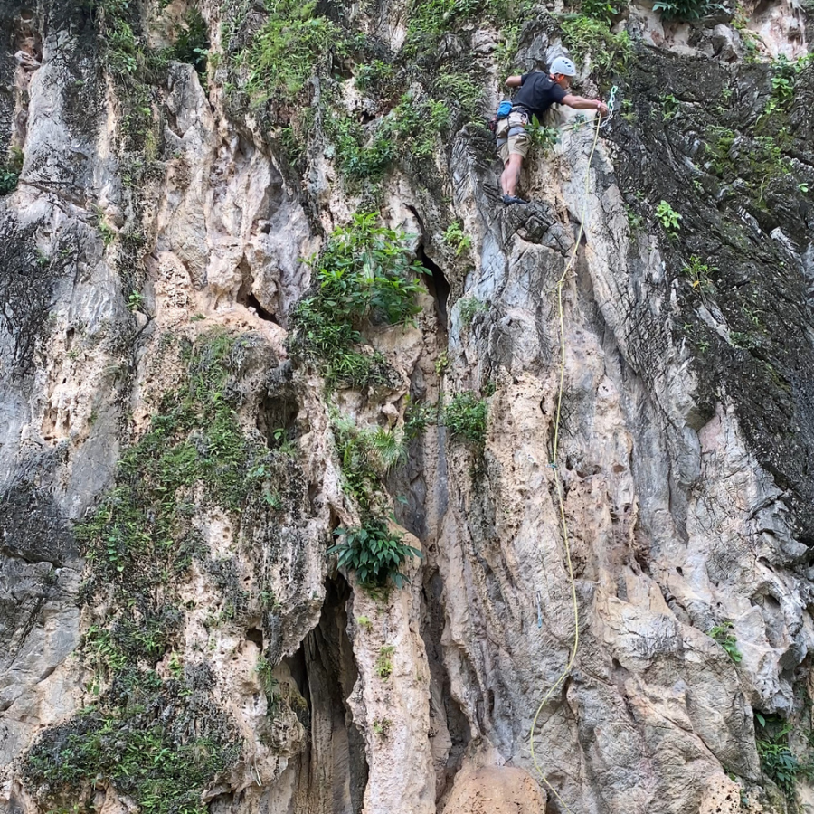 Top of Ghana Power route with tree nearby