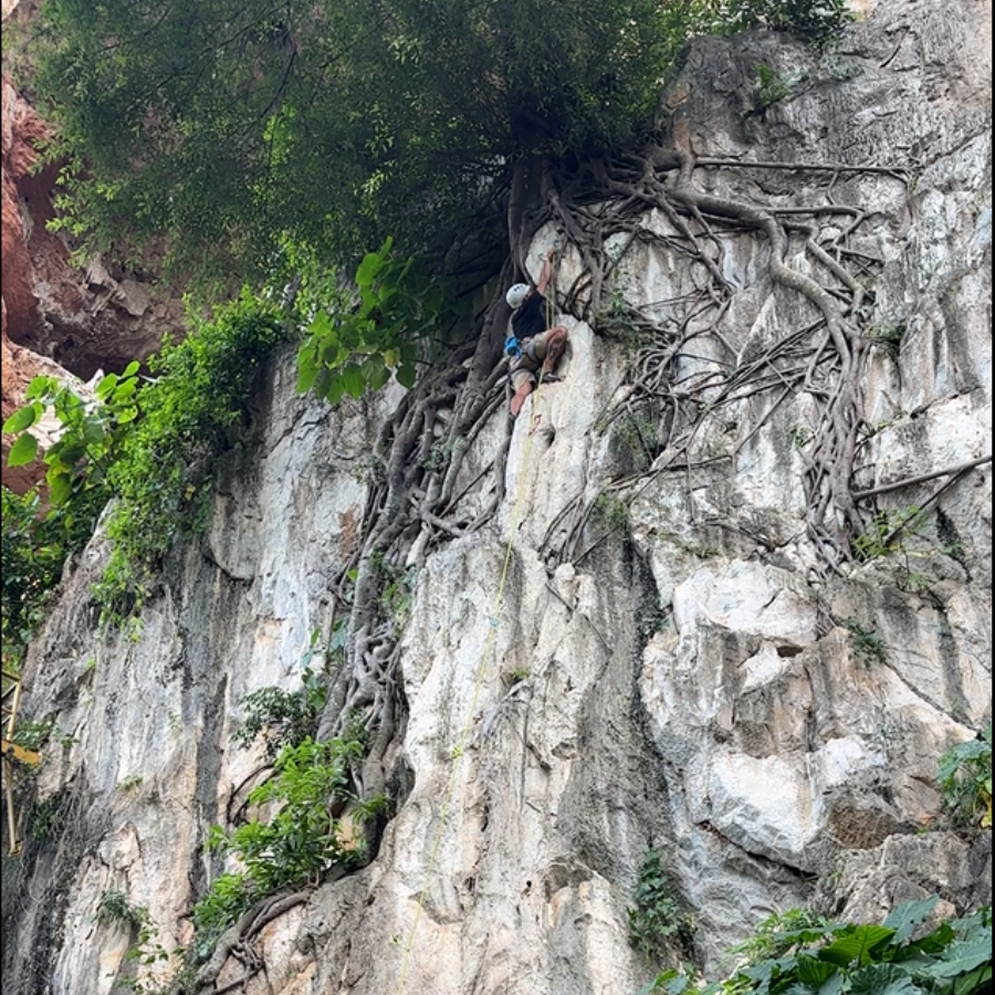 Climber ascending near a tree at Gua Damai