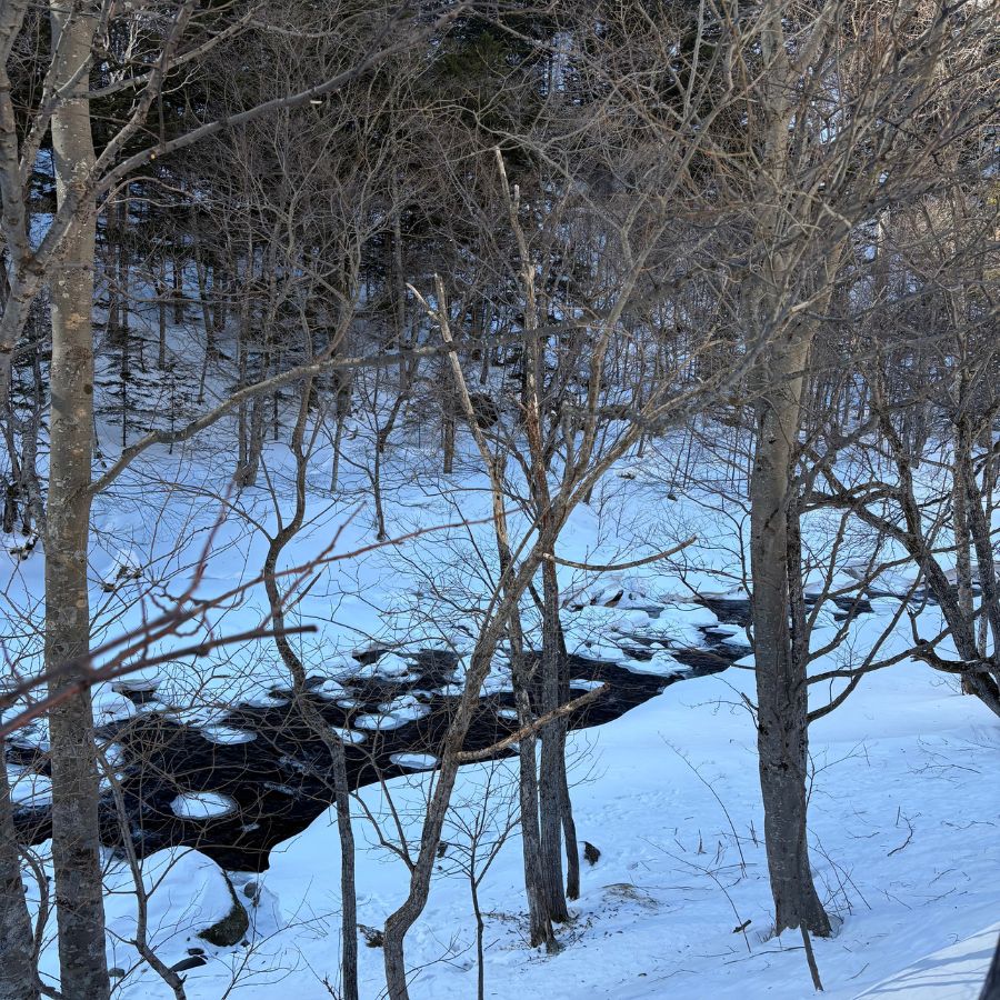 small frozen stream in snowy Hokkaido valley