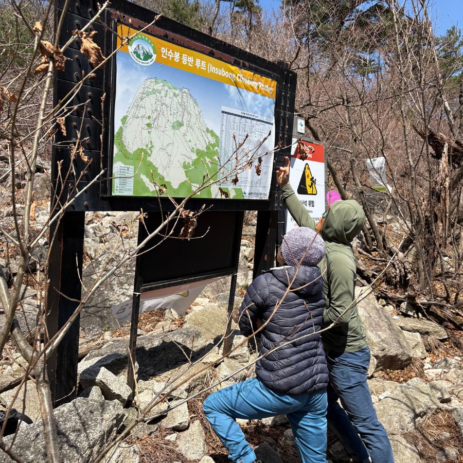 studying the climbing route before starting