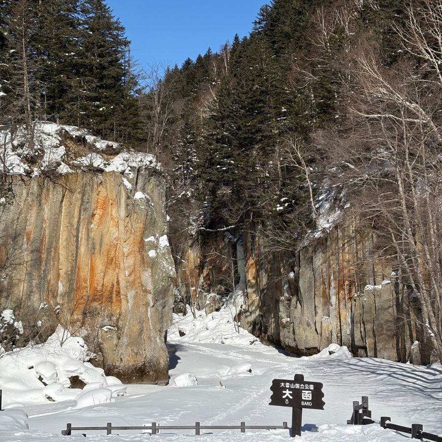 snow forest near Obako climbing location Hokkaido Japan