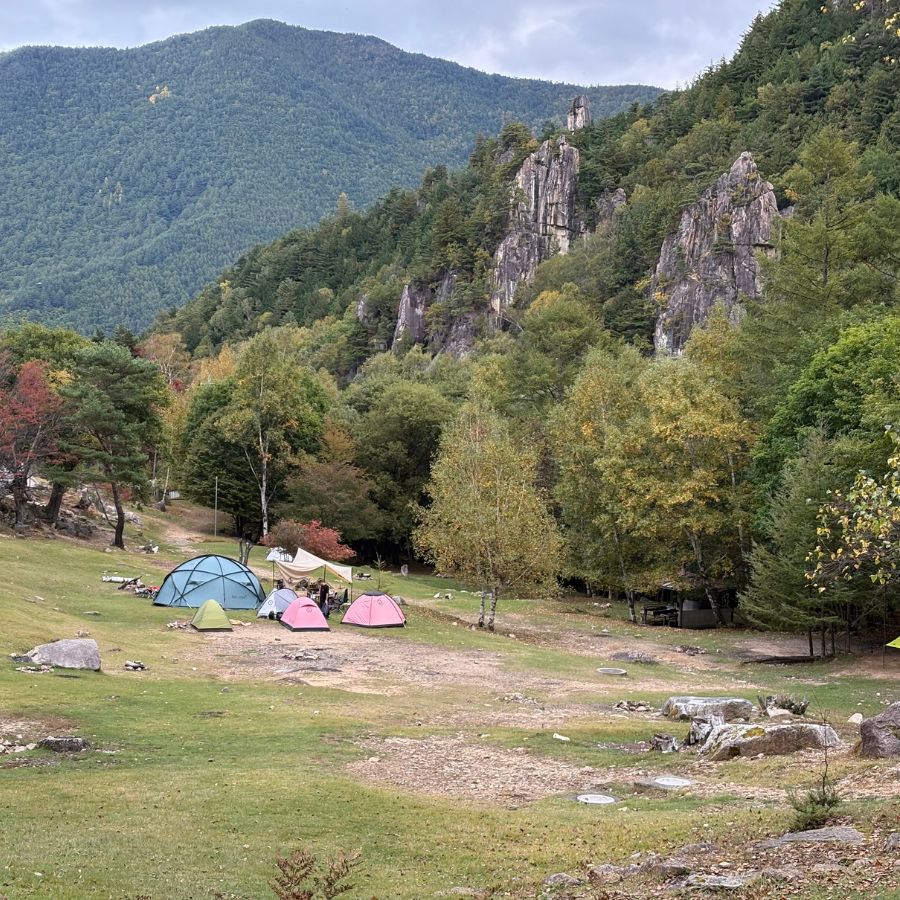 Ogawayama campground area surrounded by trees