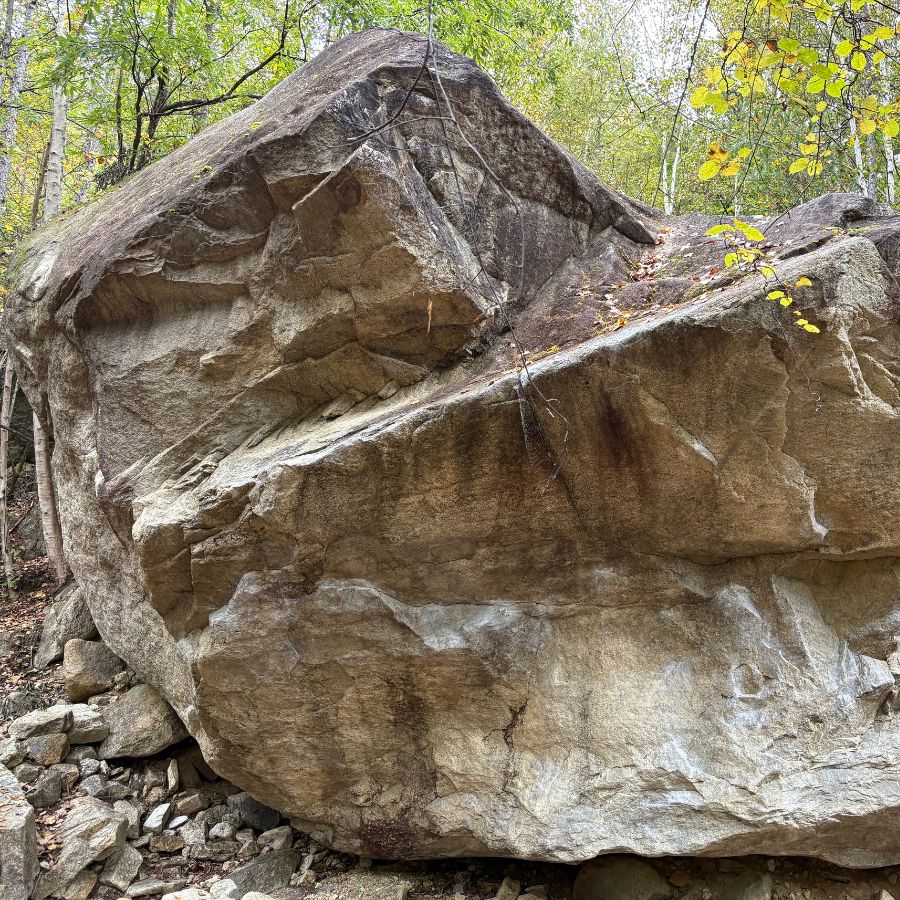 Granite boulder in Ogawayama forest