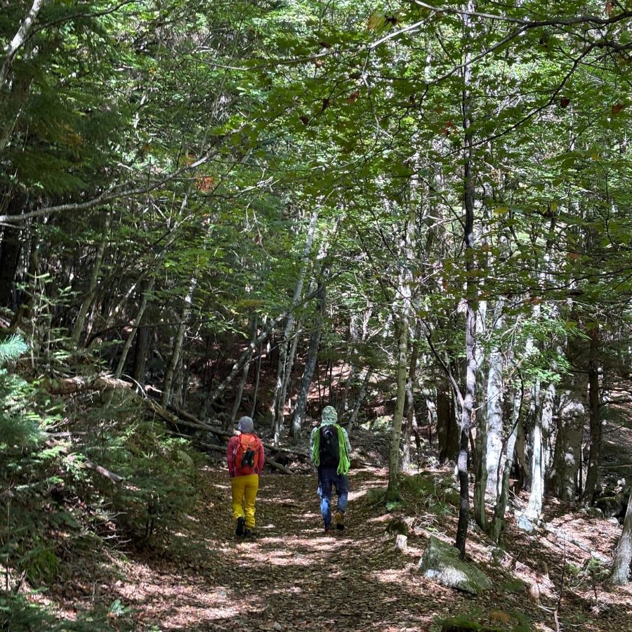 Ogawayama autumn hiking trail in Nagano