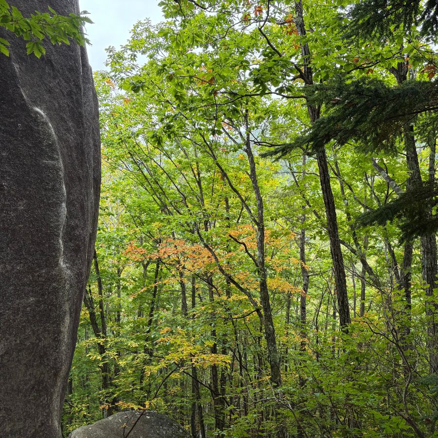 Classic Japanese autumn mountain view in Ogawayama