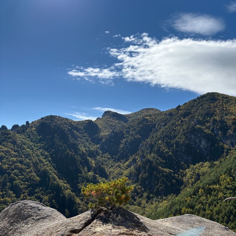 Ogawayama forest and mountain scenery in Nagano