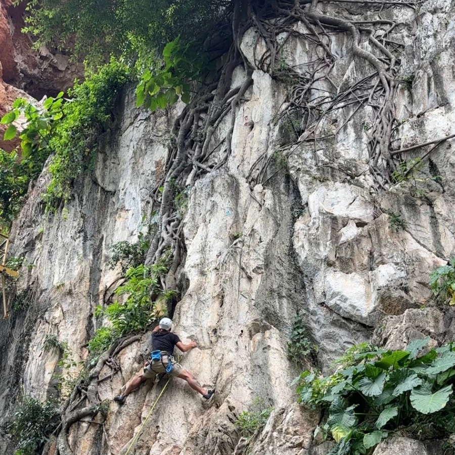 Pokok climbing route with tree growing out of the wall