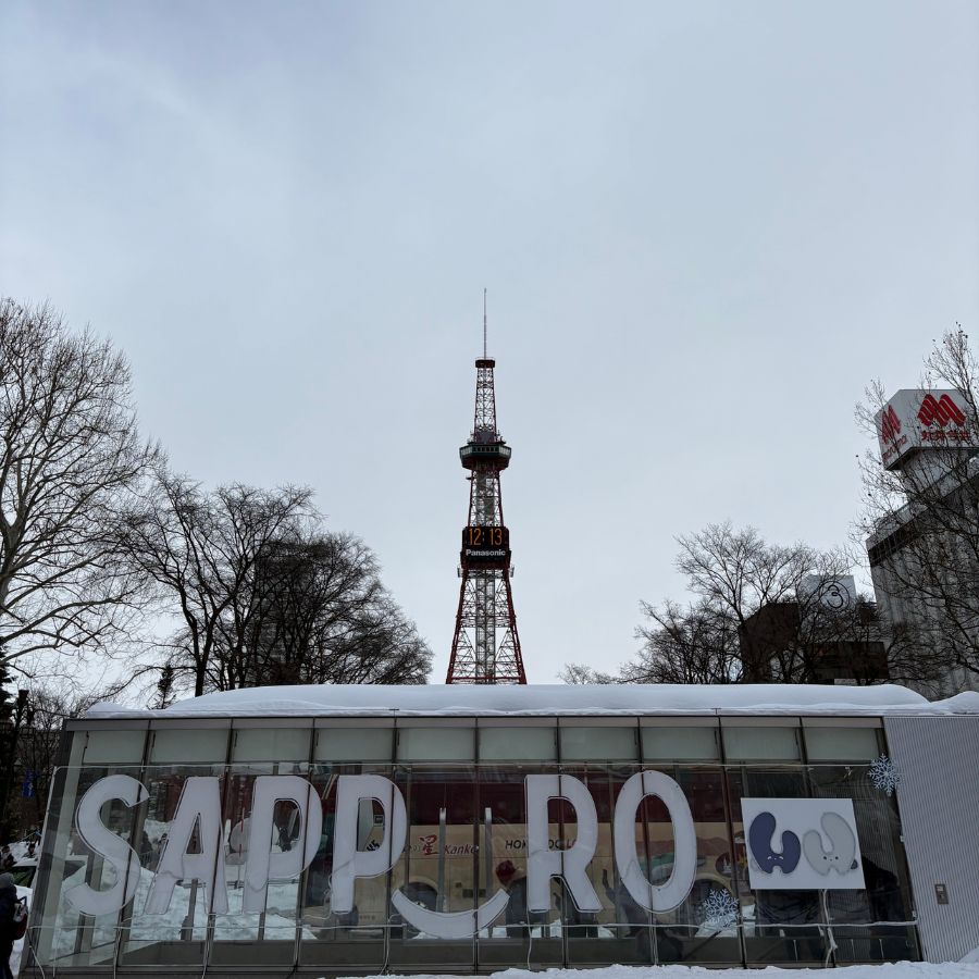 Sapporo Snow Festival Odori Park
