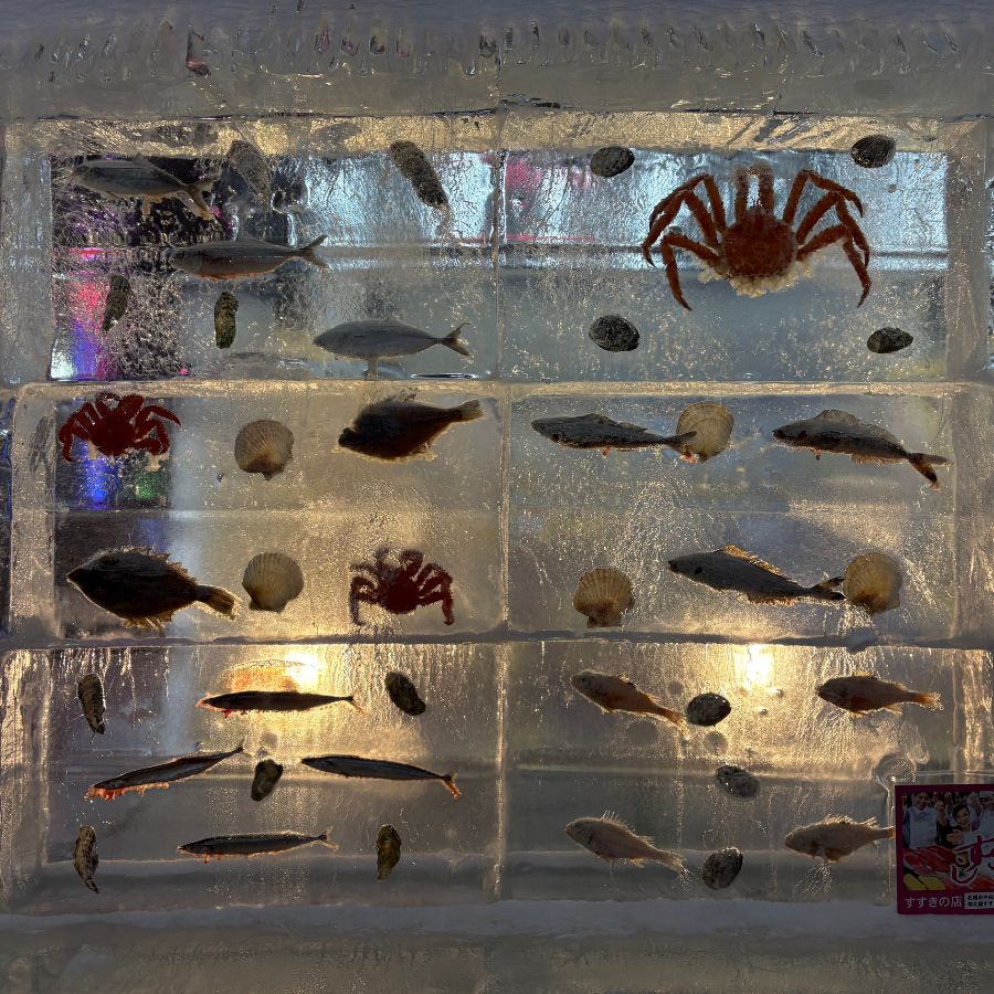 frozen fish display Sapporo