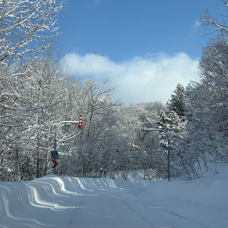 Hokkaido winter road view