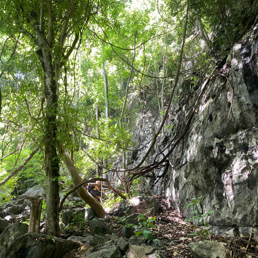 Following ribbon markers leading to the Secret Garden crag