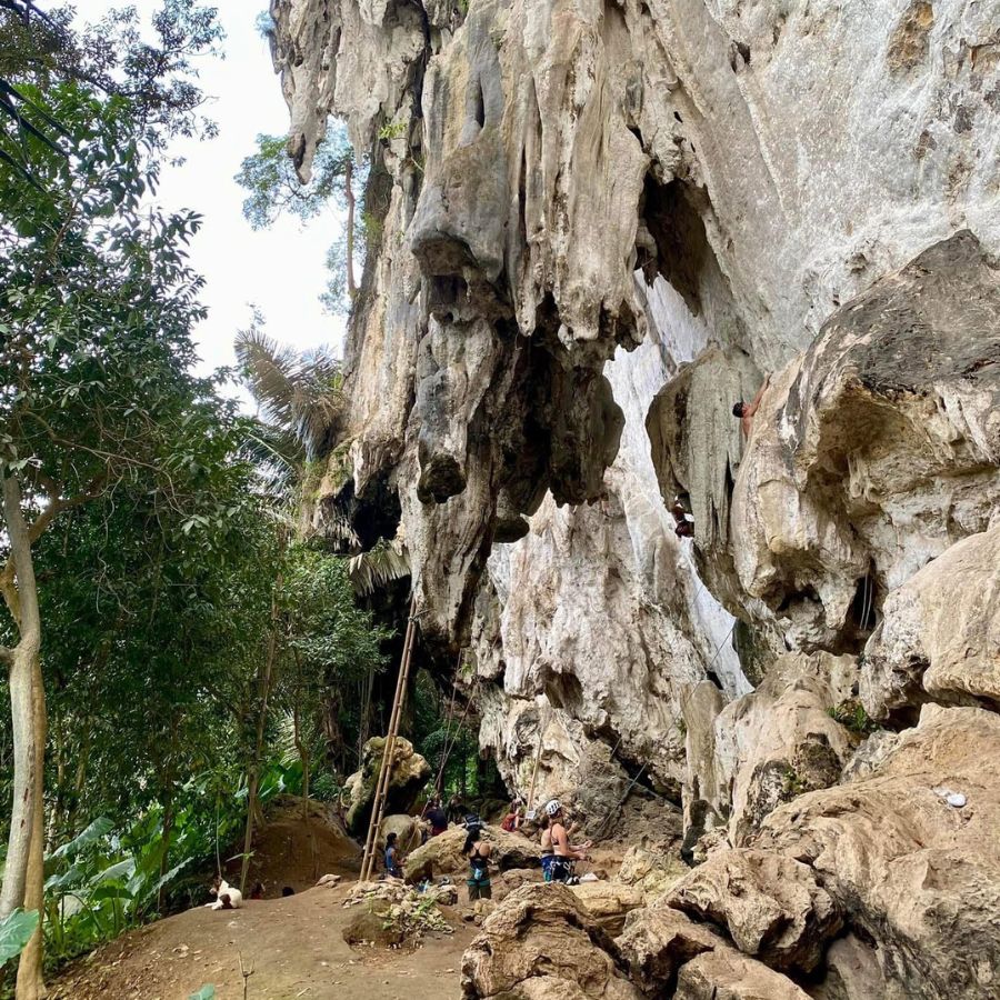 Beginner climbing route at North Wall in Ao Nang, Thailand