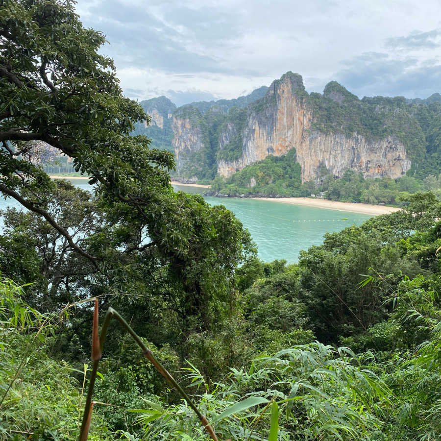 View of Railay Beach and Krabi from Thaiwand Wall with scenic surroundings